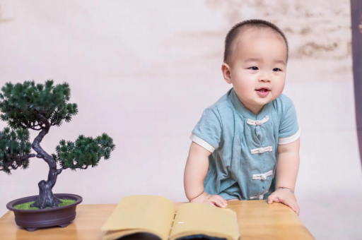 章丘可爱的企鹅宝宝